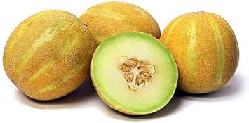 Lemon Drop Melon Fruit Seeds for Planting - Heirloom and GMO Free Seeds at your Home Garden